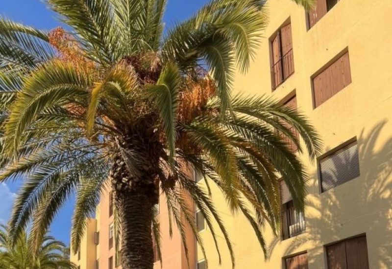 appartement-3-hyeres-62-1387702-1536w-10