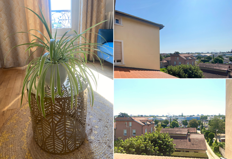 appartement-lyon-vue-degadee-delphine-lagarde-immobilier