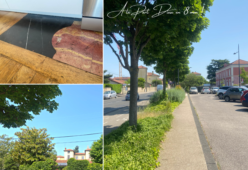 immobilier-appartement-ancien-lyon-delphine-lagarde-immobilie
