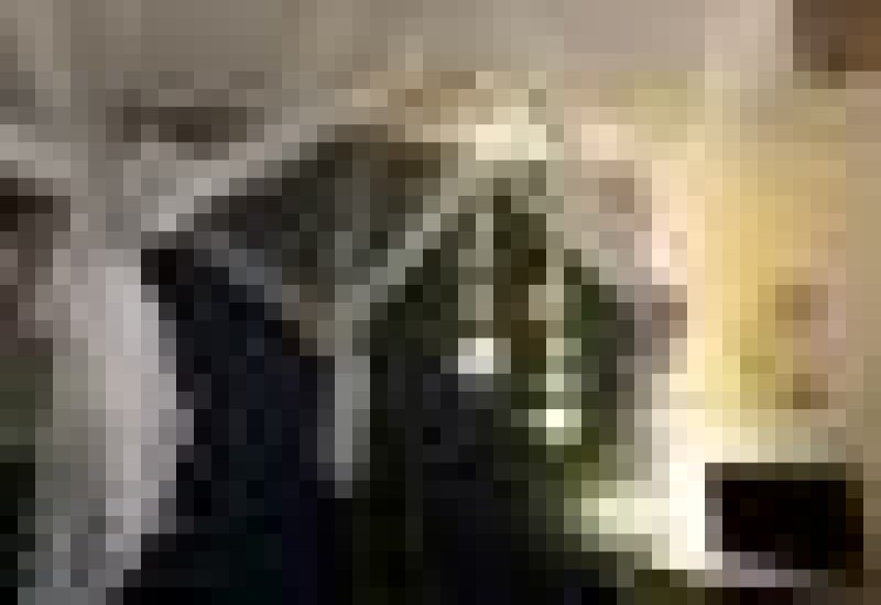 v_1
